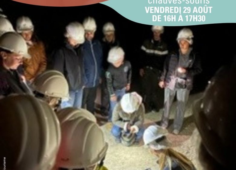Nuit de la chauve-souris | Jeu de piste