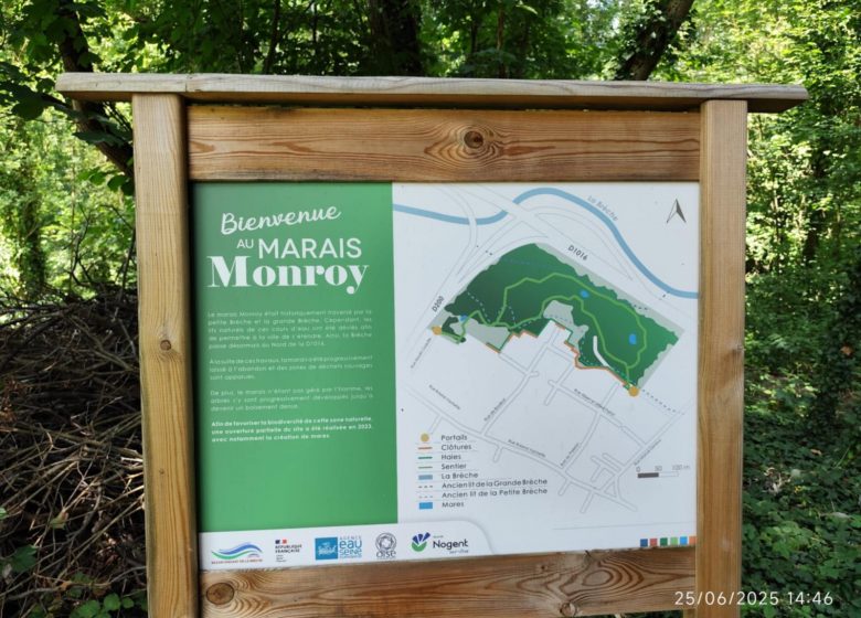Marais Monroy