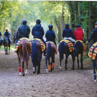 Private visit to the Chantilly racehorse training centre