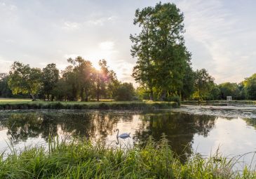 Parc du Château de Chantilly