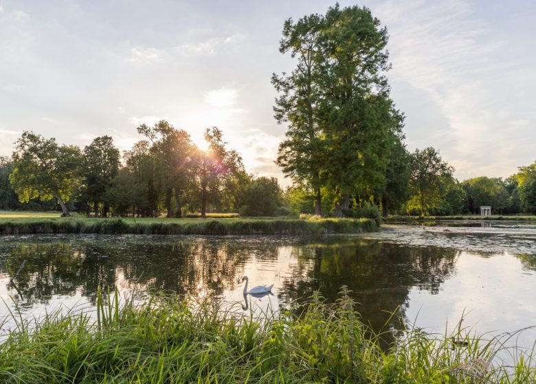 Parc du Château de Chantilly