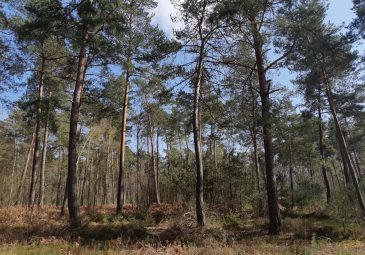 Parc Naturel Régional Oise-Pays de France