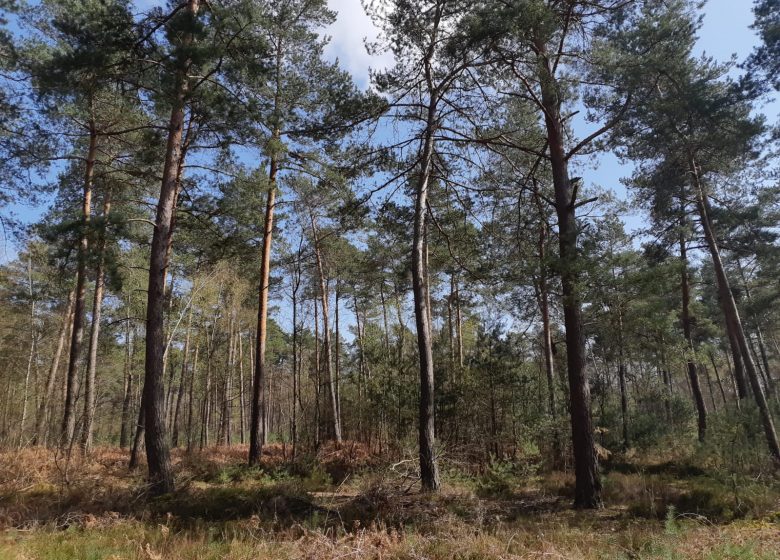 Parc Naturel Regional Oise-Pays de France