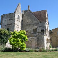 Park and remains of the Royal Castle