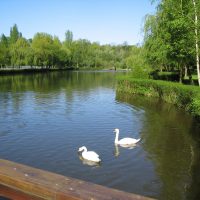 Visite guidée: « Le parc écologique de Senlis, la nature en partage »