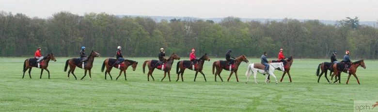 Bezoek privée du centre d'entraînement de chevaux de course de Chantilly