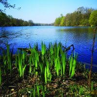 Festival de l&rsquo;Oiseau | Fêtons les oiseaux !