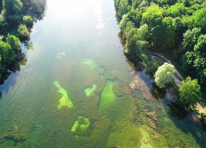 Marais de Chantraine