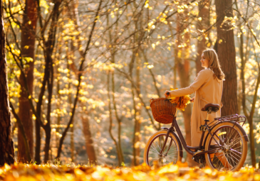 Bobebike – Loueur, réparateur et balades à vélo