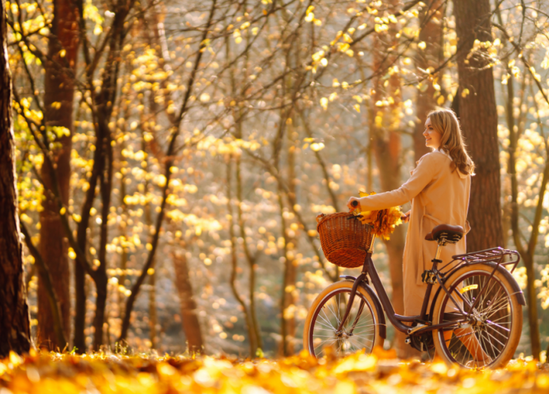 Bobebike – Loueur, réparateur et balades à vélo