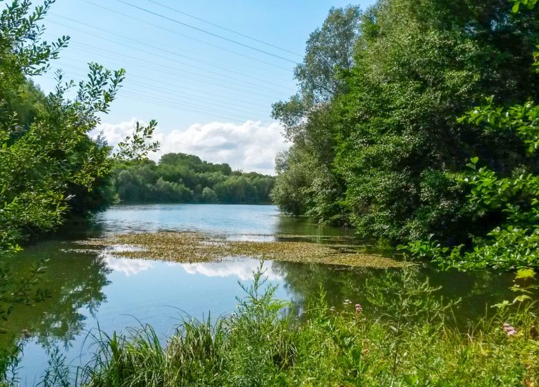 Etang de Thiverny