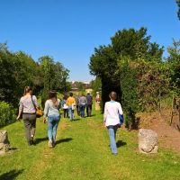 Guided tour: "Gallo-Roman Senlis: In the footsteps of Antiquity".