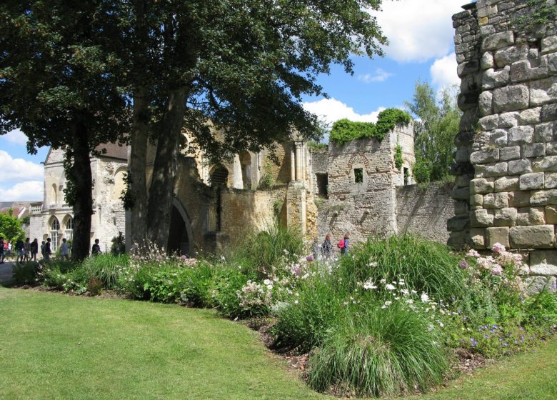 Parc et vestiges du Château royal