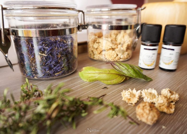 Atelier | Le pouvoir des plantes