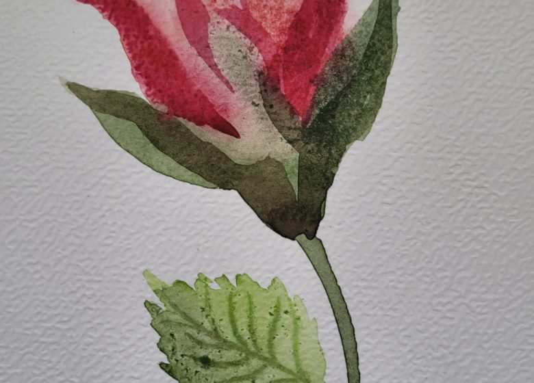 Atelier fleurs à l&rsquo;aquarelle à la librairie Le Verbe & l&rsquo;Objet à Senlis