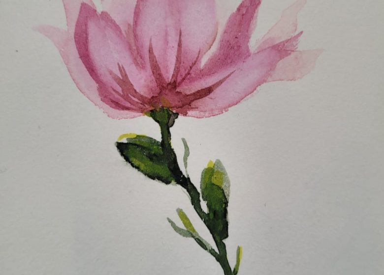 Atelier fleurs à l’aquarelle chez Alma à Chantilly
