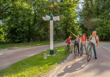 Les folles aventures de Louison Pignon – La petite Reine des Bois