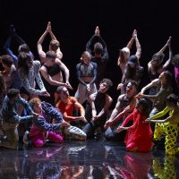 Static Shot / a Folia