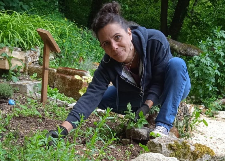 Atelier | Le pouvoir des plantes !