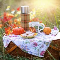 Commelles vijvers picknickplaats