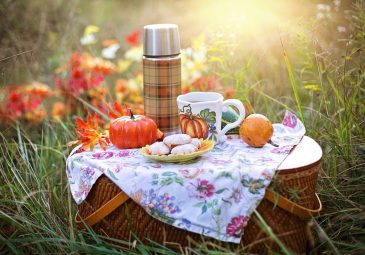 Aire de pique-nique de Mont l’Evêque