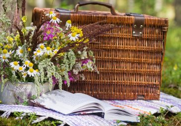Aire de pique-nique de Senlis