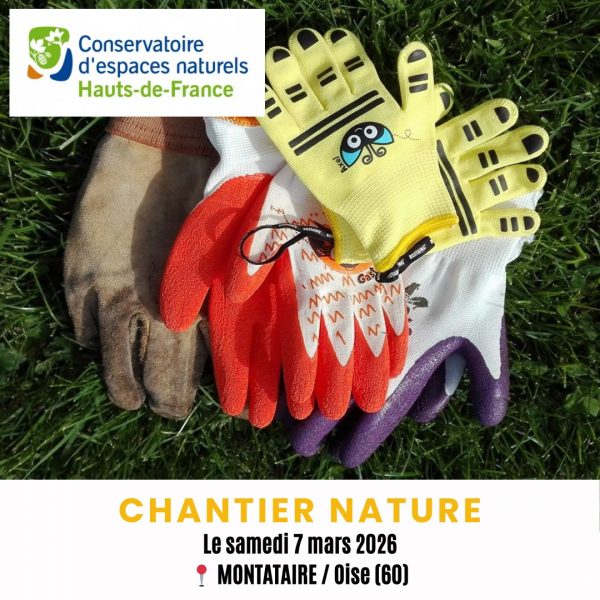 Sortie nature | Chantier nature à Saint-Vaast-lès-Mello