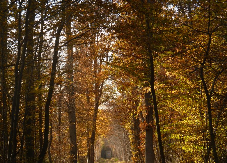 Parc Naturel Régional Oise-Pays de France