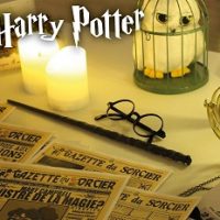 Escape Game | thème « Harry Potter »