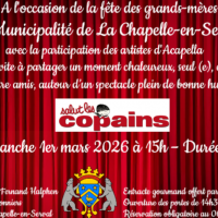 Spectacle Salut Les Copains