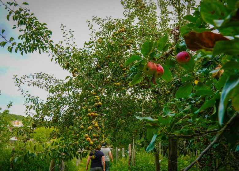 Visite d’une ferme atypique