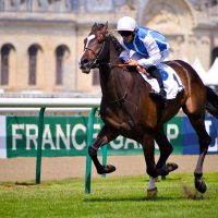 Corse di cavalli all'ippodromo di Chantilly