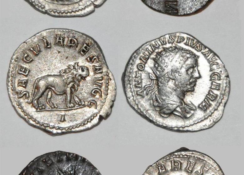 Escape Game | Le Trésor du musée Gallé-Juillet