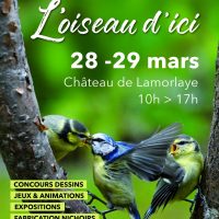 Nature : L&rsquo;Oiseau d&rsquo;ici Là Lamorlaye