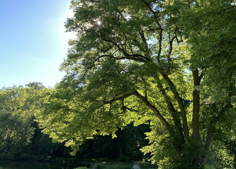 Découverte de la Boucle des Écrivains