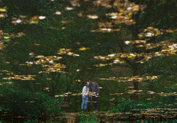 David Lavana Photographies