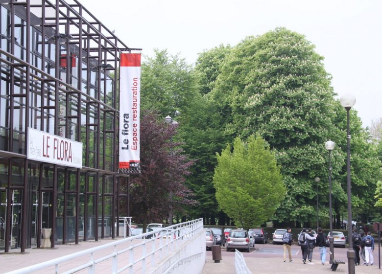 Le Flora (La mosaïk en fusion)