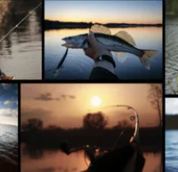 Salon de la Pêche de Senlis