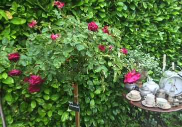 Le Jardin de l’échassière