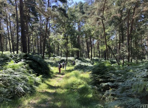 Two steps to the side