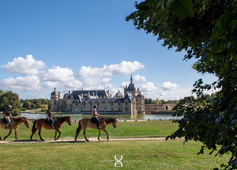 Espace Equestre Henson Chantilly-Apremont