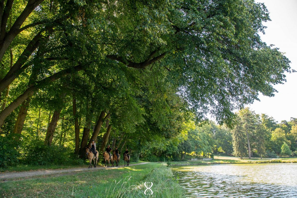 Chantilly, Promenade Découverte