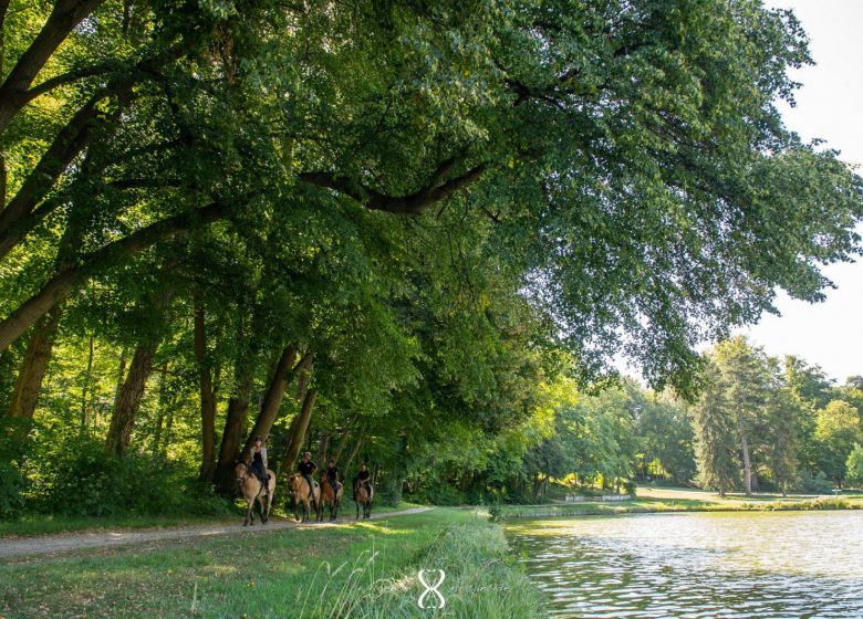 Espace Equestre Henson Chantilly-Apremont