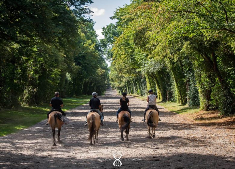 Espace Equestre Henson Chantilly-Apremont